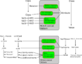 Thumbnail for version as of 16:15, 27 November 2009